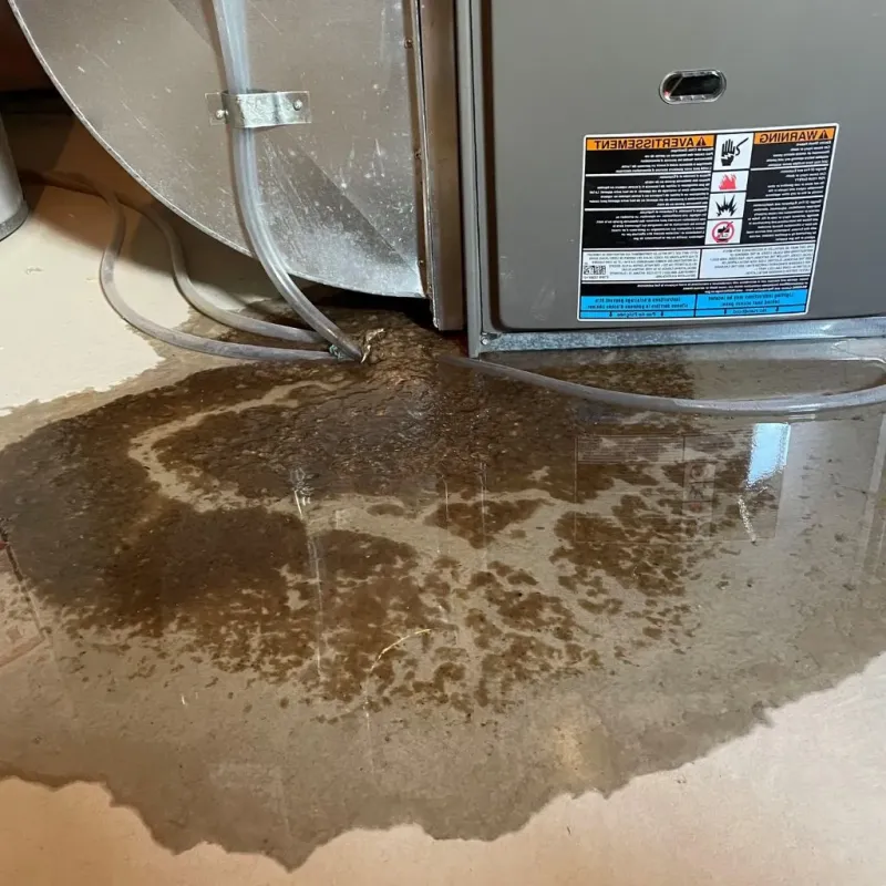Pipe Burst and Leak Restoration in Goodwell, OK