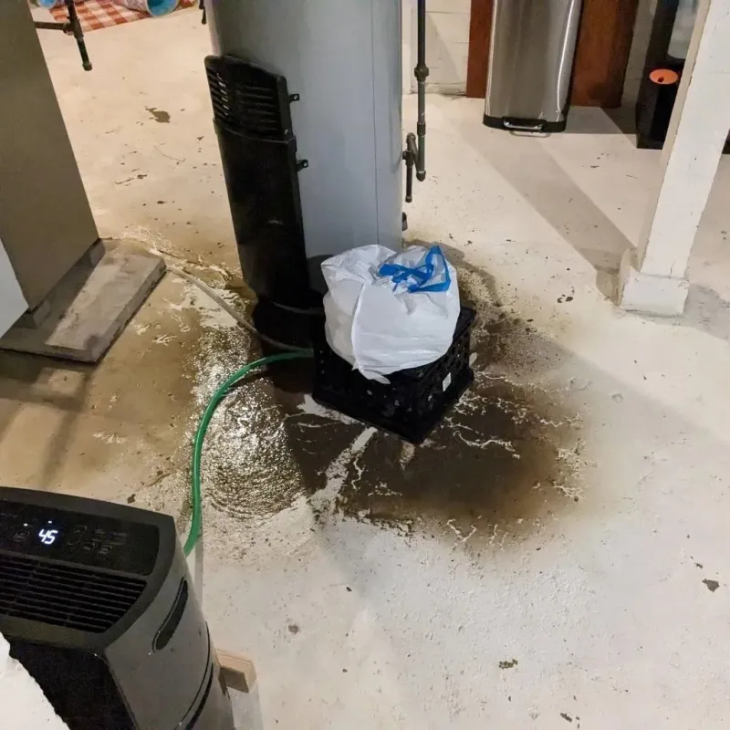 Sewage Backup Cleanup Service in Goodwell, OK